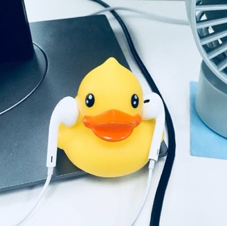 duck